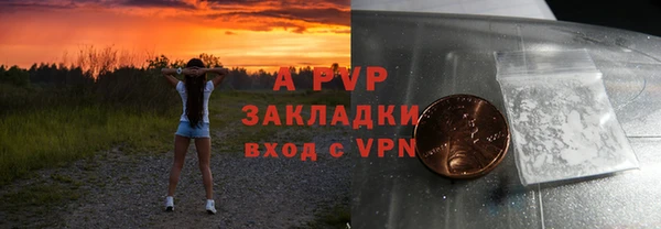 ECSTASY Богородицк