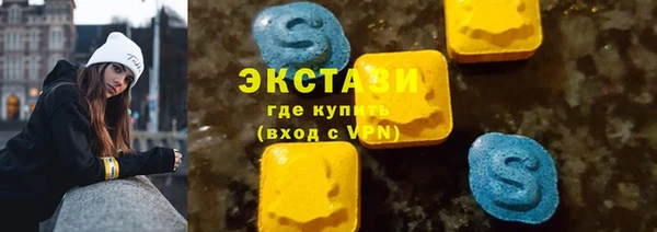 ECSTASY Богородицк