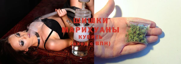 ECSTASY Богородицк