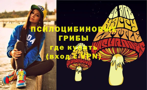 ECSTASY Богородицк