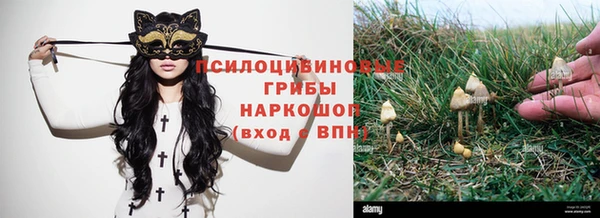 бутират Белокуриха