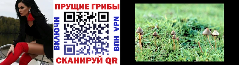Галлюциногенные грибы мицелий  Купить где  Енисейск 